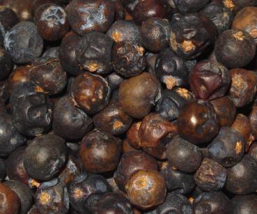 Wacholderbeeren (ganz) 40g / 150g