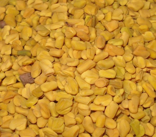 Bockshornkleesaat (ganz) 60g