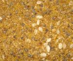 Dekus (Äthiopische Gewürzmischung) 50g