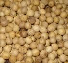 Pfeffer weiss (ganz) 40g