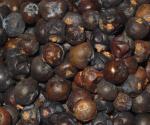 Wacholderbeeren (ganz) 40g