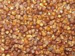 Malagettapfeffer, Paradieskörner, Guinea 25g